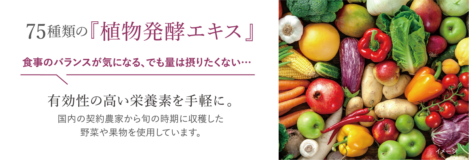 75種類の『植物発酵エキス』食事のバランスが気になる、でも量は摂りたくない。有効性の高い栄養素を手軽に。国内の契約農家から旬の時期に収穫した野菜や果物を使用しています。
