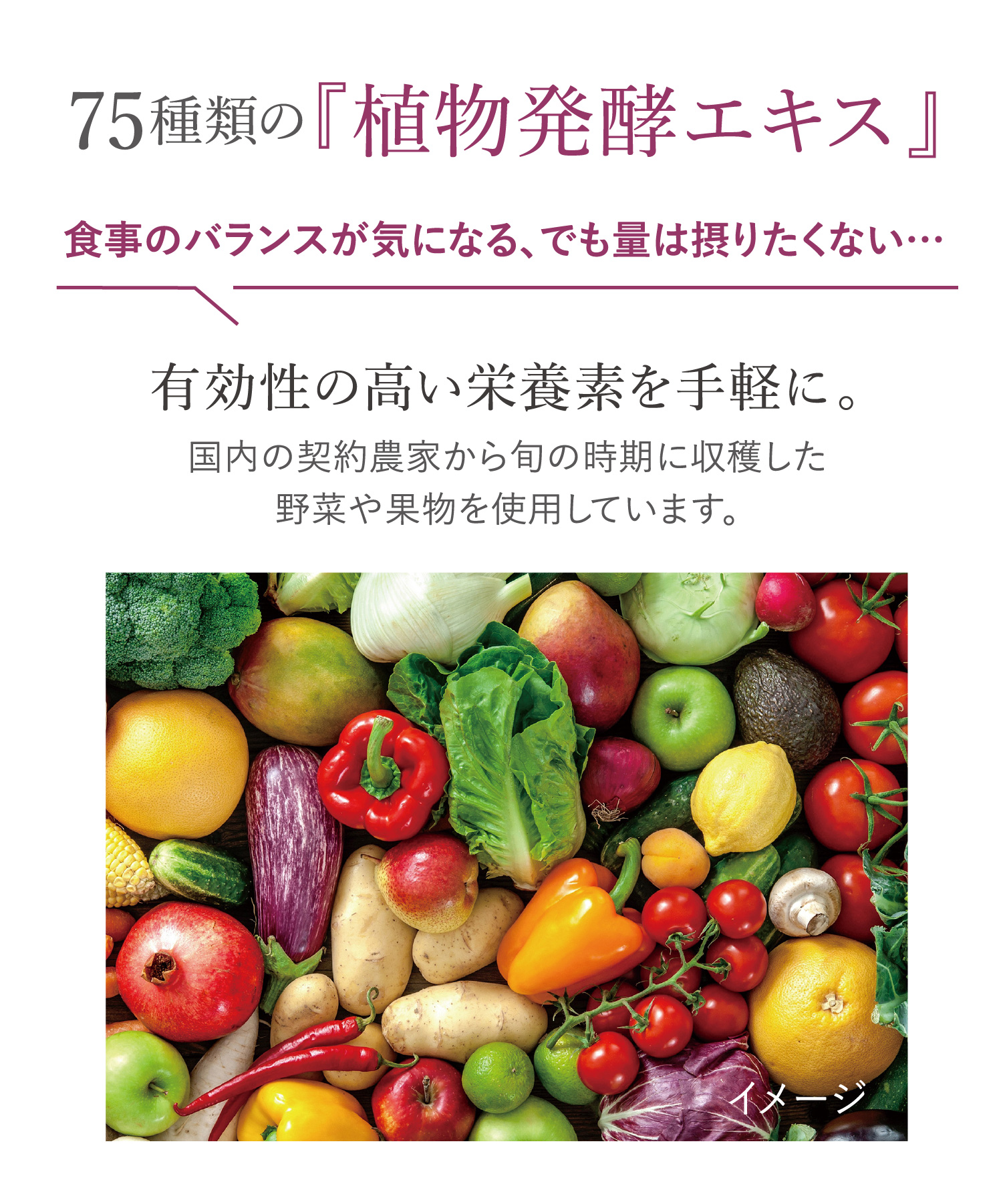 75種類の『植物発酵エキス』食事のバランスが気になる、でも量は摂りたくない。有効性の高い栄養素を手軽に。国内の契約農家から旬の時期に収穫した野菜や果物を使用しています。