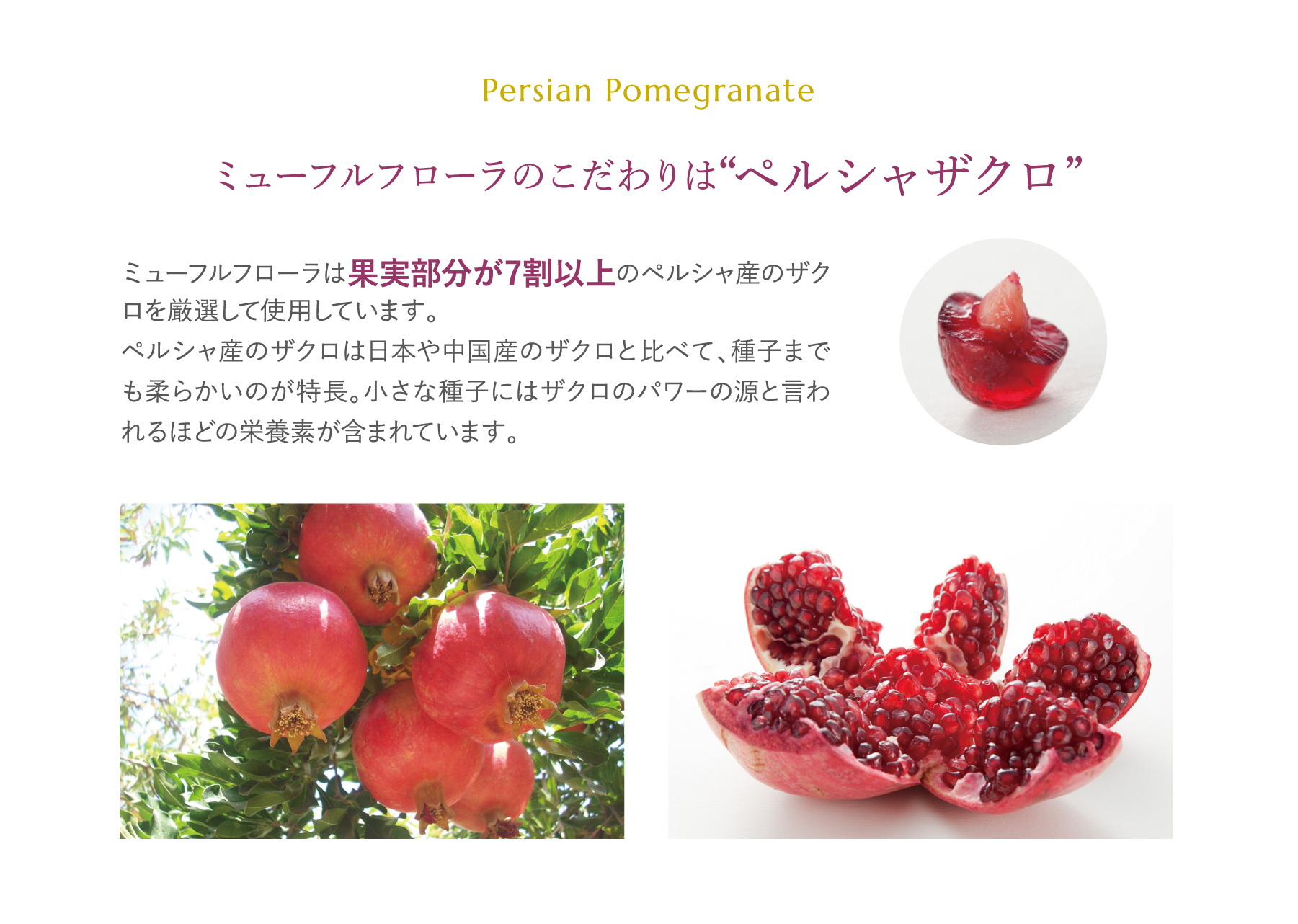 ミューフルフローラのこだわりは“ペルシャザクロ”ミューフルフローラは果実部分が7割以上のペルシャ産のザクロを厳選して使用しています。ペルシャ産のザクロは日本や中国産のザクロと比べて、種子までも柔らかいのが特長。小さな種子にはザクロのパワーの源と言われるほどの栄養素が含まれています。