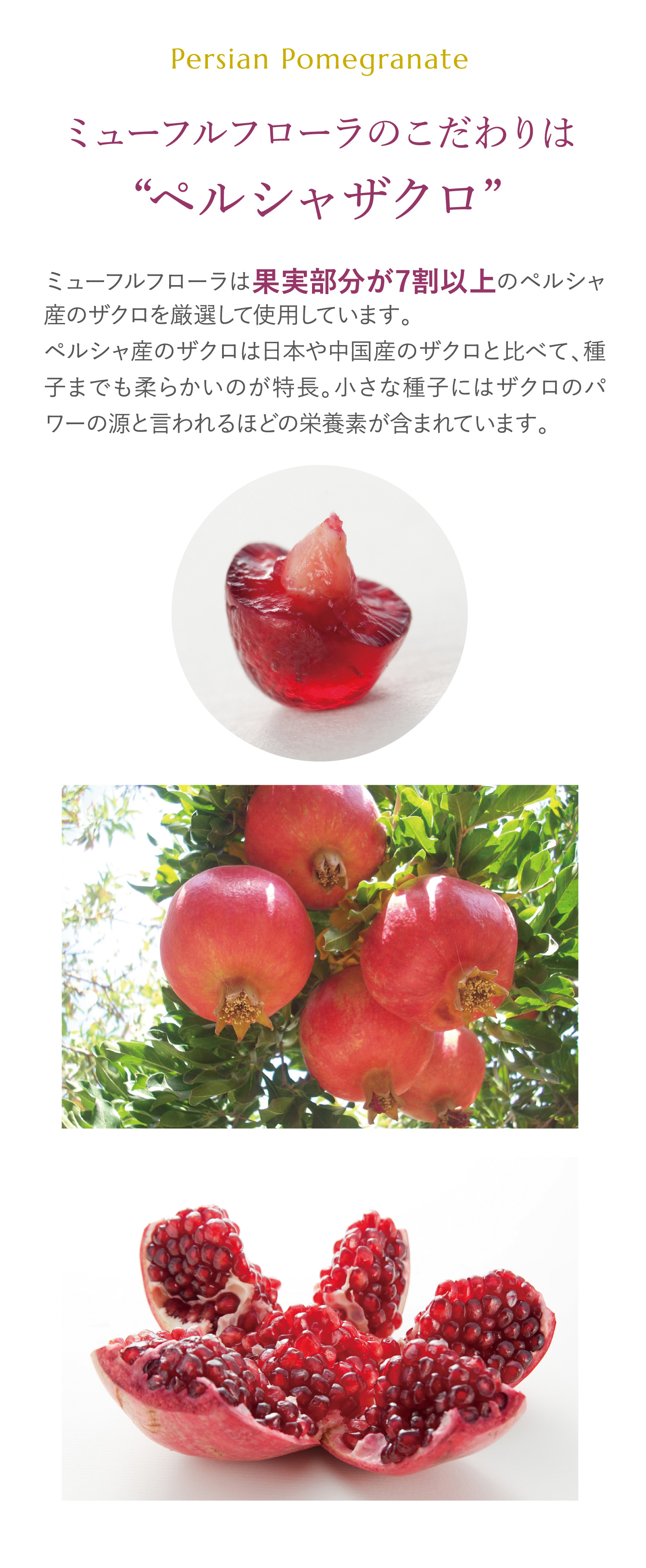 ミューフルフローラのこだわりは“ペルシャザクロ”ミューフルフローラは果実部分が7割以上のペルシャ産のザクロを厳選して使用しています。ペルシャ産のザクロは日本や中国産のザクロと比べて、種子までも柔らかいのが特長。小さな種子にはザクロのパワーの源と言われるほどの栄養素が含まれています。